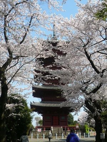イベントフォト