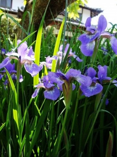 イベントフォト