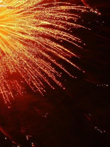 イベントフォト