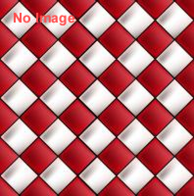 夏の横須賀ドル旅まつり