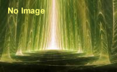 川島小鳥＋谷川俊太郎　おやすみ神たち