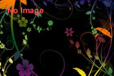 小明の生誕祭〜崖っぷち