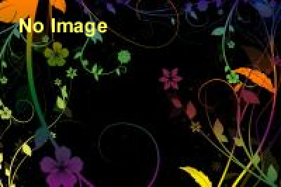 特別企画「ジブリの大博覧会」