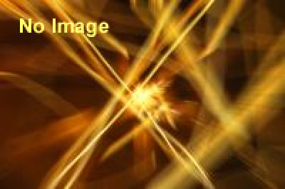 特別展「恐竜アドベンチャー～真犯人をさがしだせ～」 