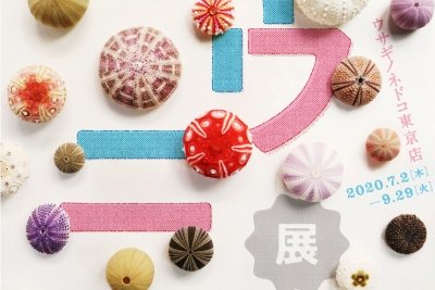 ウニ展