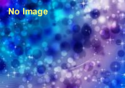 「ワン・ダイレクション」等身大フィギュア展示