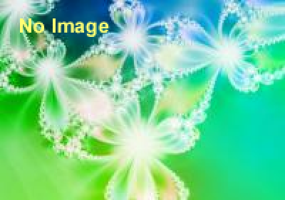 門司港レトロ　浪漫灯彩(ろまんとうさい）