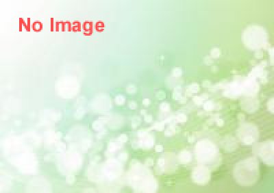 ヨコハマ フリューリングス フェスト（YOKOHAMA FRUHLINGS FEST）2014