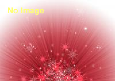 富里スイカロードレース 2014