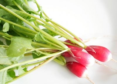 オアハカ　大根祭り（ラディッシュ・フェスティバル　Noche de Rabanos）：メキシコ