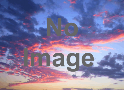 米軍海兵隊キャンプ富士フレンドシップフェスティバル2013 