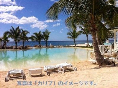 ノッティングヒル・カーニバル（Notting Hill Carnival）：イギリス