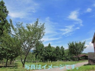 フランス： アルルの牧童祭(Fete des Gardian)