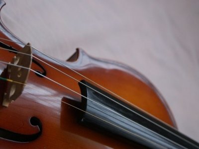 王宮 プロムナードコンサート　Innsbrucker Promenadenkonzerte：オーストリア