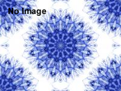 第二回日本雪合戦選手権大会