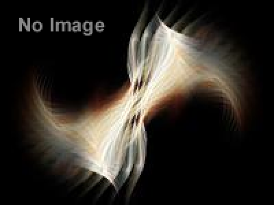 障子の国のティンカーベル  