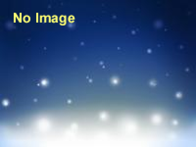 TOKYO TOWER CITY LIGHT FANTASIA