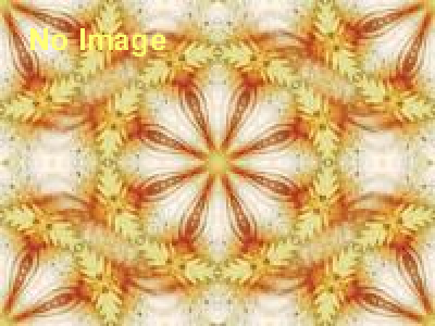 見世物学会 第二回談話会