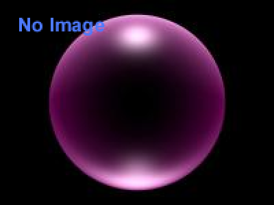 フランシス・アリス展