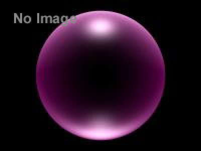 間取り図ナイト最終回ツアー