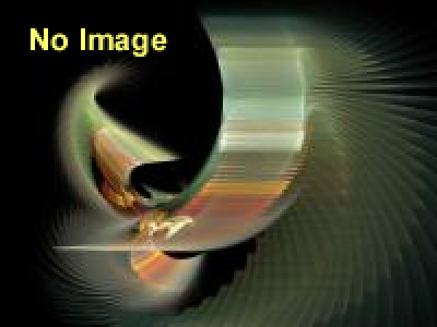 ナゾトキ街歩きゲーム 「渋谷迷宮殺人事件」　murder case of shibuya labyrinth