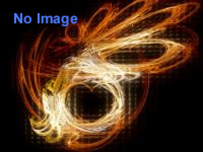 美しきエビとカニの世界