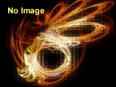 仮面舞踏会大カーニバル2015