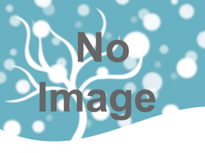 ダイヤモンドダスト in KAWAYU　