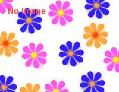 アジアおもちゃトークライブ～1月だけど忘年会スペシャル！～