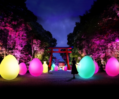 下鴨神社 糺の森の光の祭 Art by teamLab