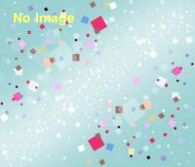 鈴木崇展「Form-Philia」