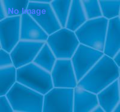 講演会「海藻のふしぎな世界を知る！～海藻学から標本作りまで～」