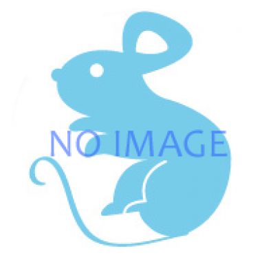 砥部焼干支展「辰(たつ)」（ロビー展）