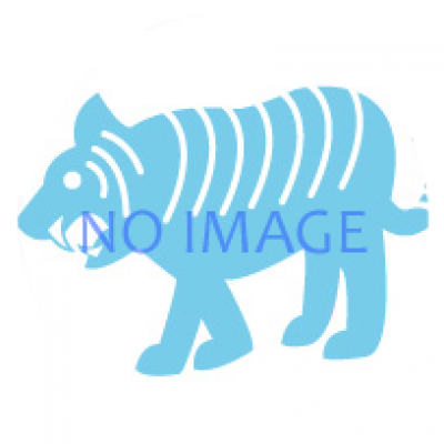 世界のフレアバーテンダー集結！　『Love　Hita　Cocktail　Contest』