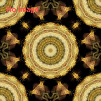 フィエスタ デ エスパーニャ2014