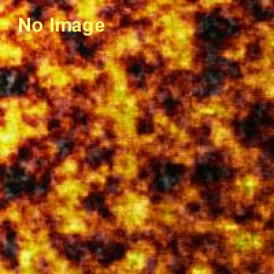 夏の特別展「THE モンスター展 ～自然界の怪物たち～」 