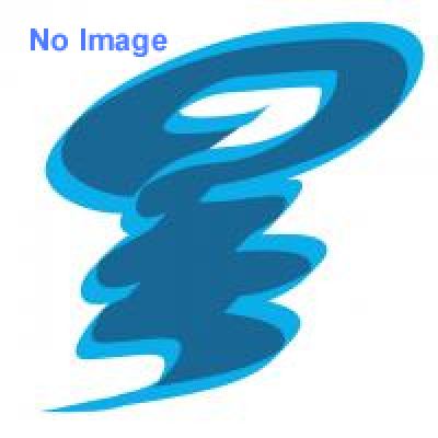 打て！THE・大ドッヂボール大会 