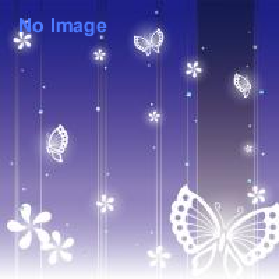 Royal Copenhagen × 渡辺おさむ　  「Blueの世界 」