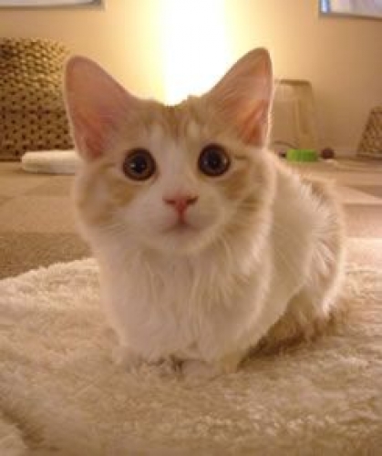 イベントフォト