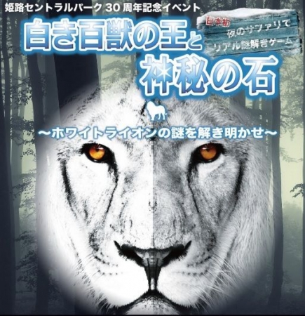 イベントの写真
