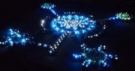 イベントの写真