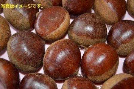 イベントの写真