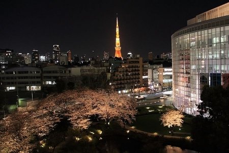 イベントの写真