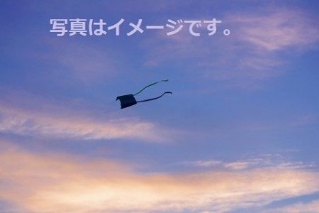 イベントの写真