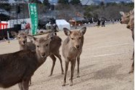 イベントの写真