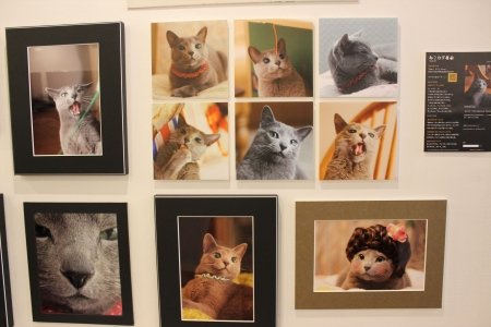 イベントの写真