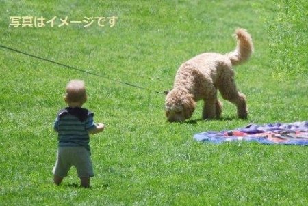 イベントの写真