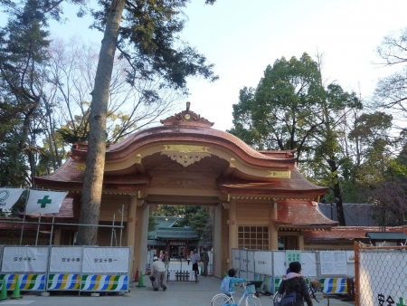 イベントの写真