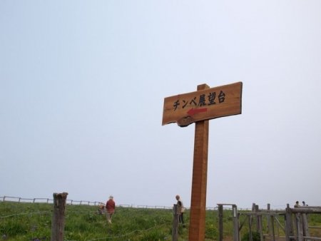 イベントの写真