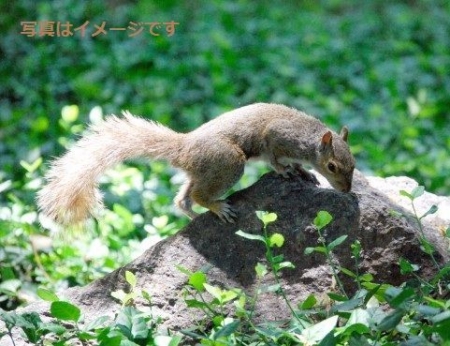 イベントの写真